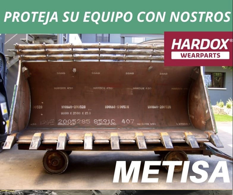 Metisa