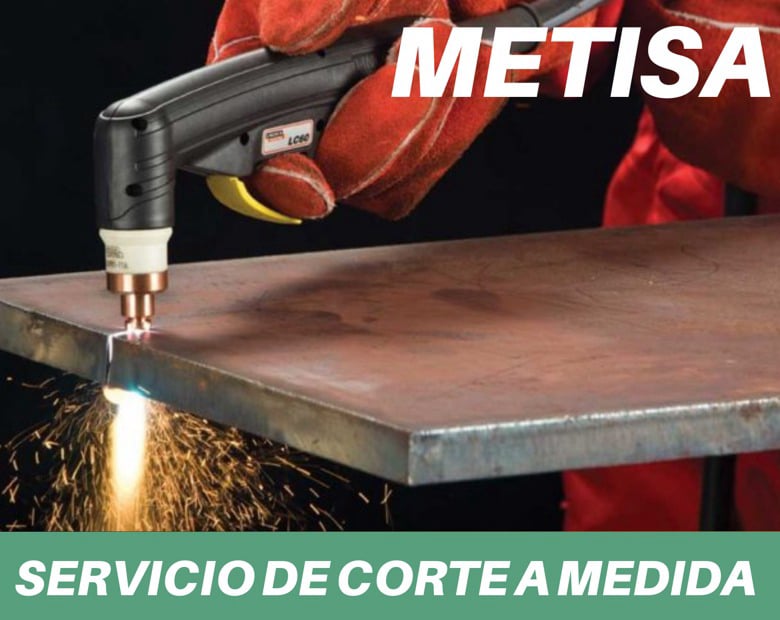 Metisa